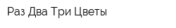Раз Два Три Цветы