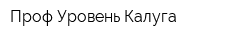 Проф Уровень Калуга