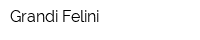 Grandi Felini