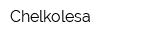 Chelkolesa