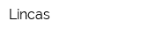 Lincas