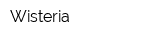 Wisteria