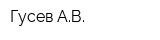 Гусев АВ