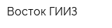 Восток-ГИИЗ