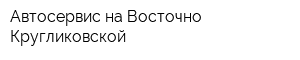 Автосервис на Восточно-Кругликовской