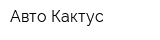 Авто Кактус