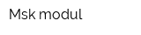 Msk-modul