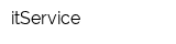 itService