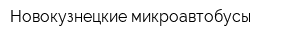Новокузнецкие микроавтобусы