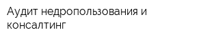 Аудит недропользования и консалтинг