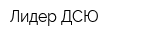 Лидер ДСЮ