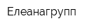 Елеанагрупп