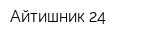 Айтишник-24