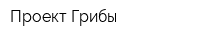 Проект Грибы