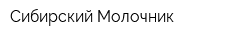 Сибирский Молочник