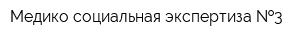 Медико-социальная экспертиза  3