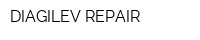 DIAGILEV REPAIR