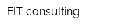 FIT consulting
