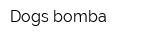 Dogs bomba