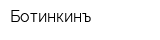 Ботинкинъ