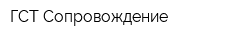 ГСТ Сопровождение