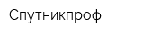 Спутникпроф