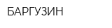 БАРГУЗИН
