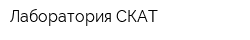 Лаборатория СКАТ