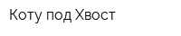 Коту под Хвост