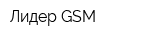 Лидер GSM
