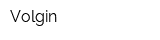 Volgin