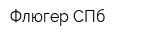 Флюгер СПб