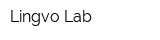 Lingvo Lab
