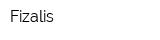 Fizalis