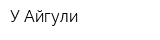 У Айгули
