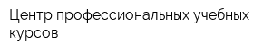 Центр профессиональных учебных курсов