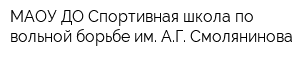 МАОУ ДО Спортивная школа по вольной борьбе им АГ Смолянинова