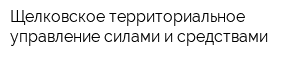 Щелковское территориальное управление силами и средствами