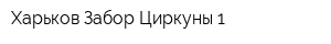 Харьков Забор Циркуны-1