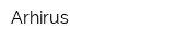 Arhirus