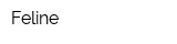 Feline
