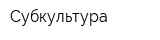 Субкультура
