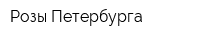 Розы Петербурга