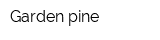 Garden pine