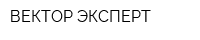 ВЕКТОР ЭКСПЕРТ