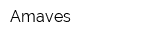 Amaves
