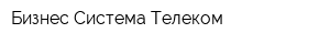 Бизнес Система Телеком