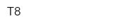 Т8