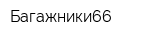 Багажники66