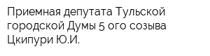 Приемная депутата Тульской городской Думы 5-ого созыва Цкипури ЮИ